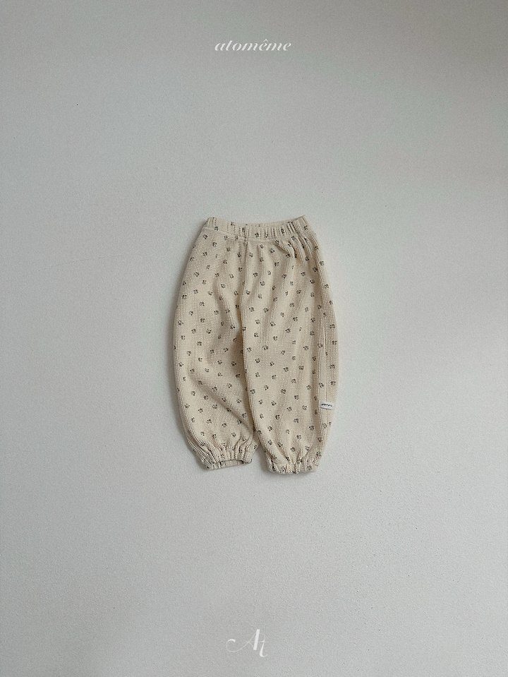 라떼팬츠 5