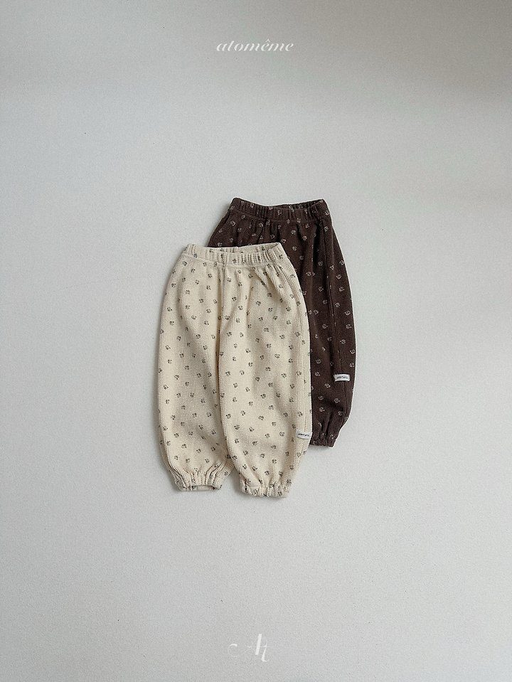 라떼팬츠