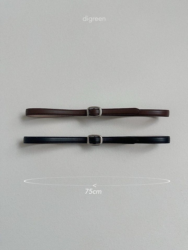 에이콘벨트 31