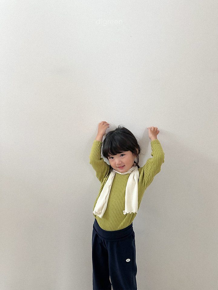 헴프스카프 21