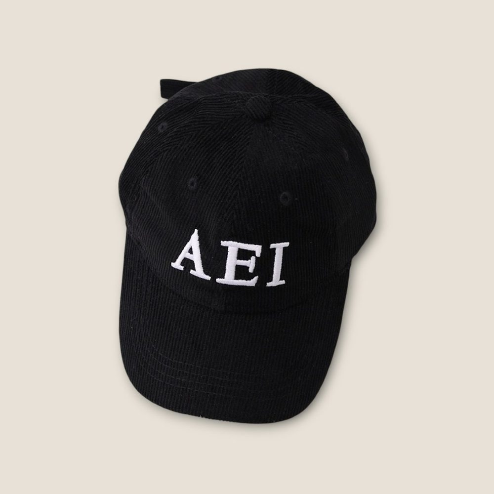 AEI캡 6