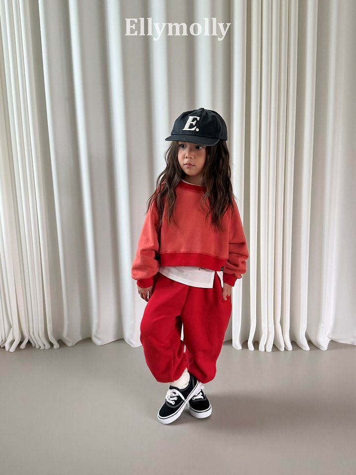 헤이즐레이어T 27