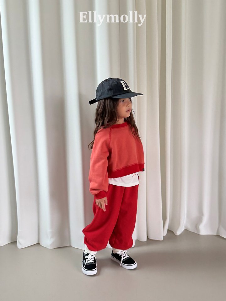 헤이즐레이어T 29