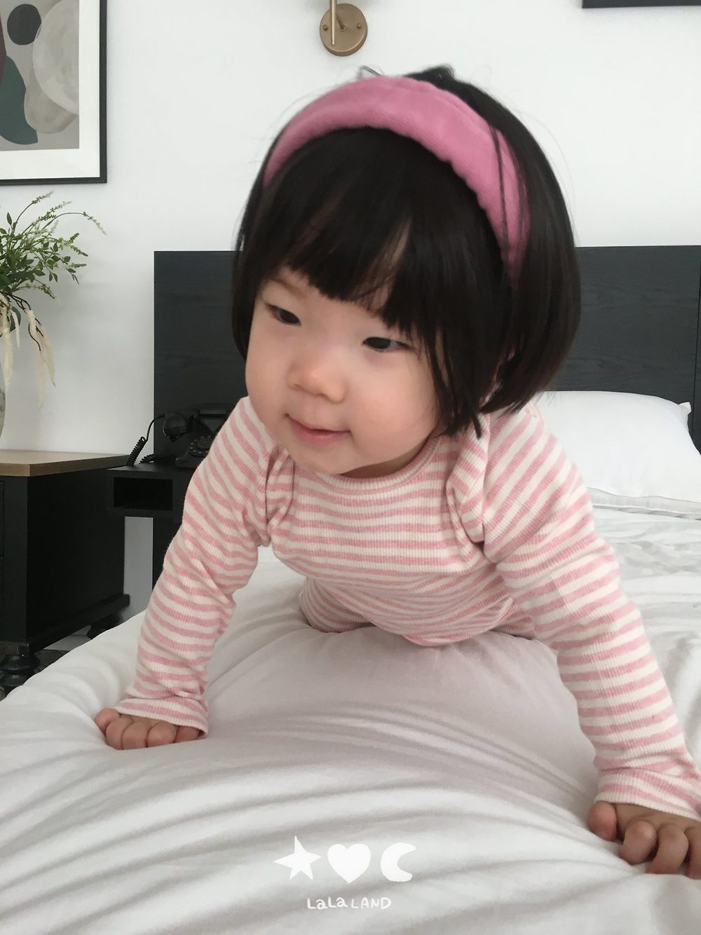 베베곱창밴드 26
