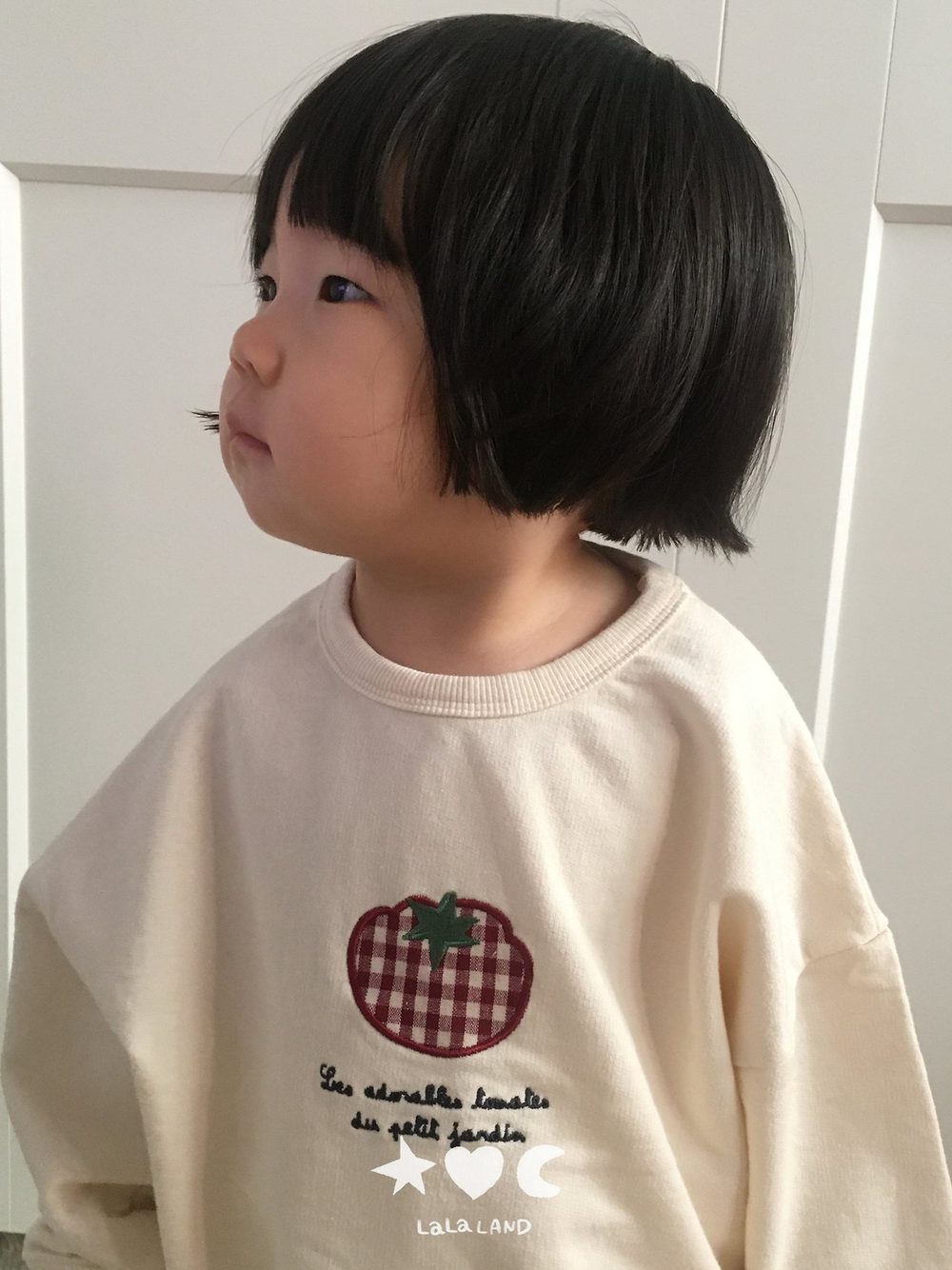 베베토마토랍빠티 23