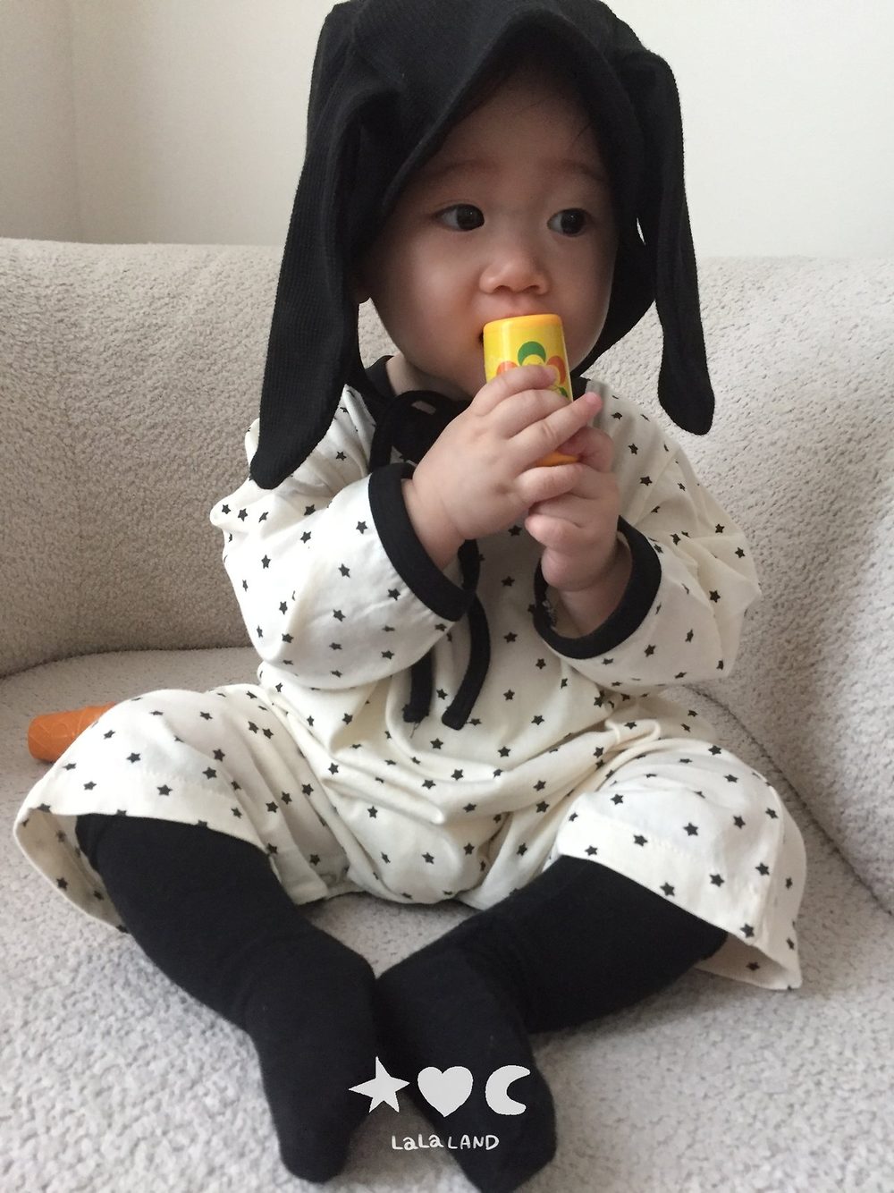 베베토끼비니 25