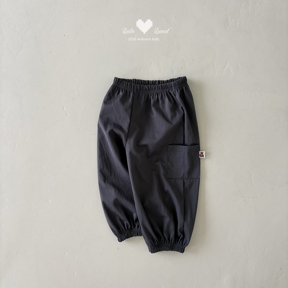 모드카고바지 5