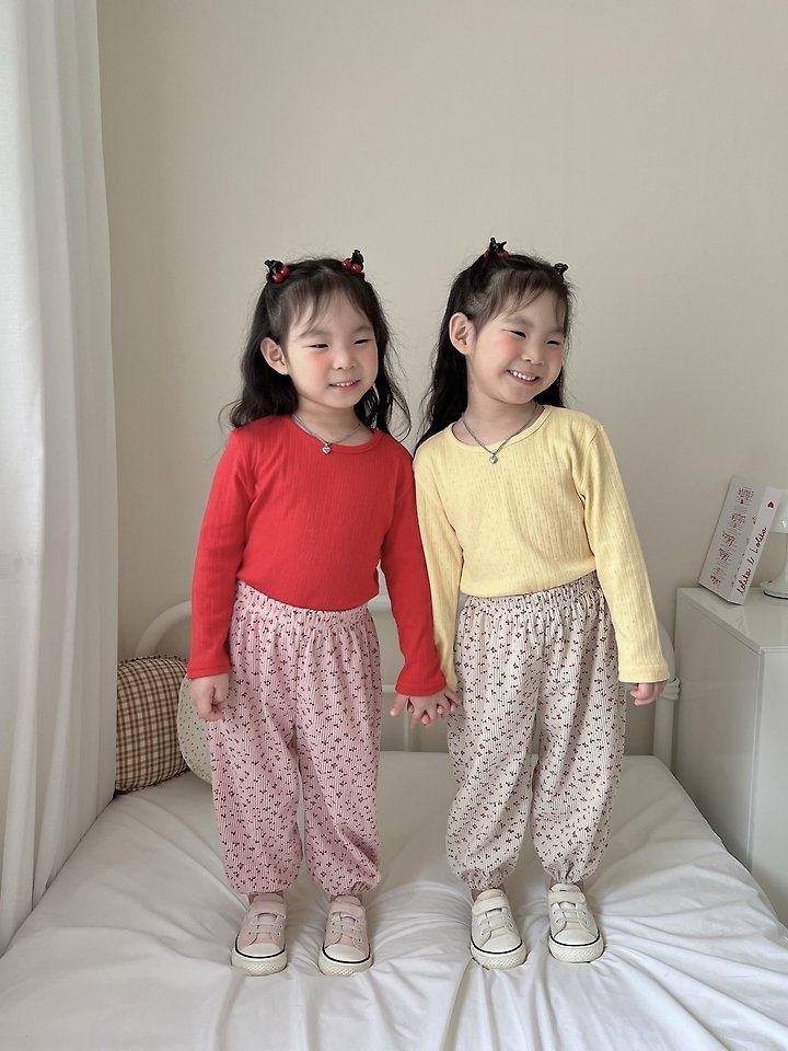 콩이골지t 2