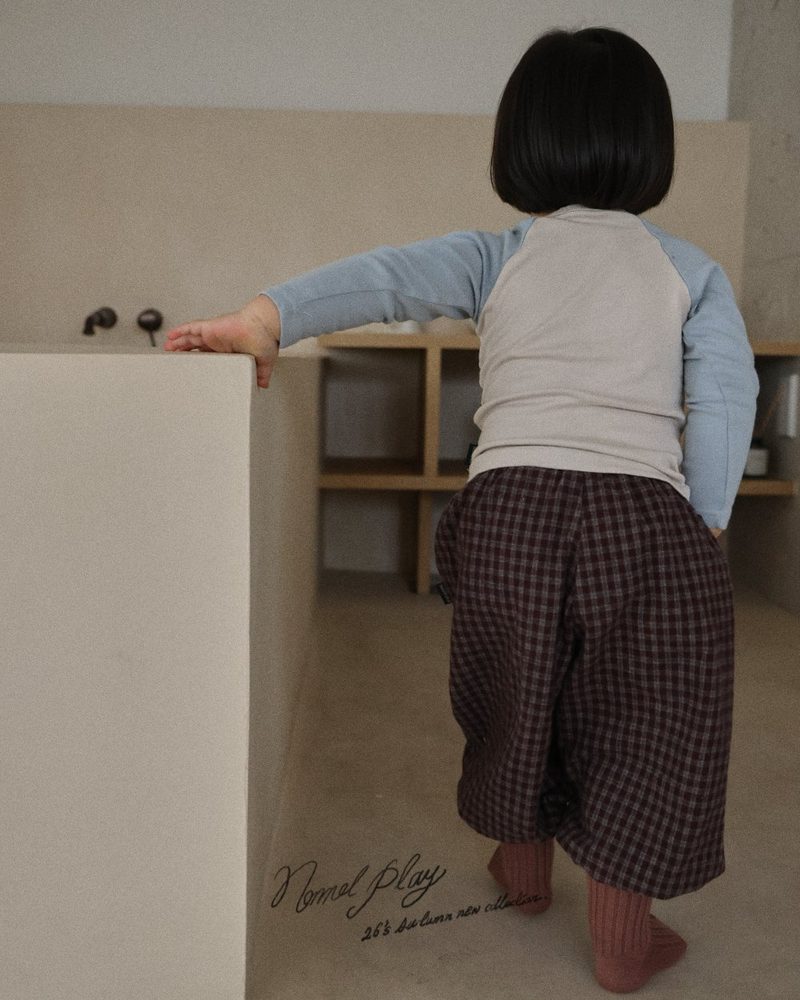 후라이스콤비티 17