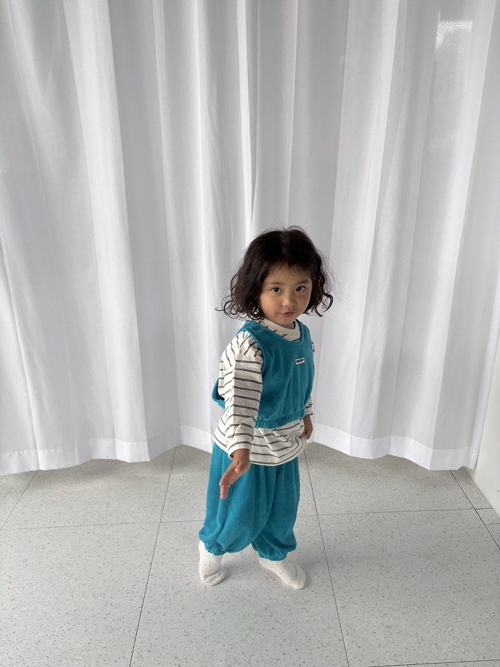 테리조거 2