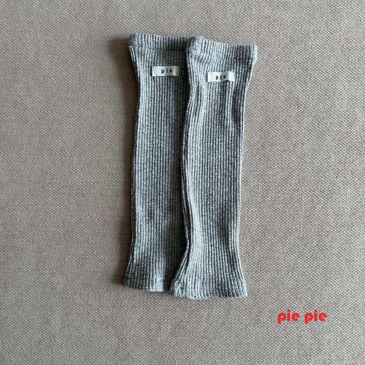 파이레그워머 12