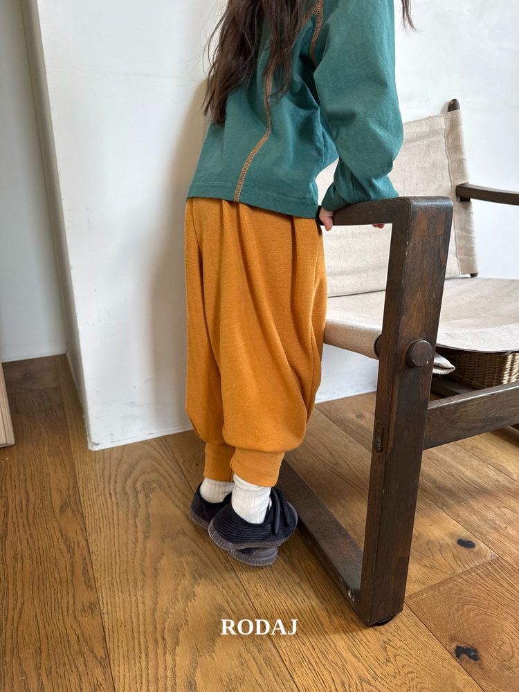 알라조거 10