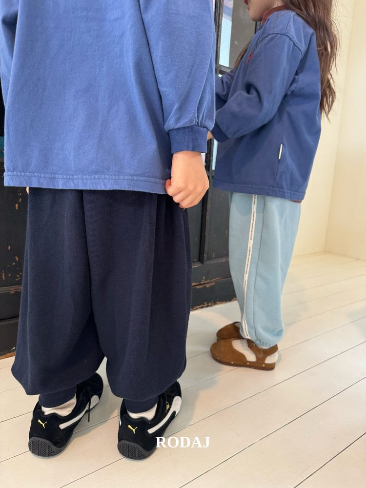 알라조거 17