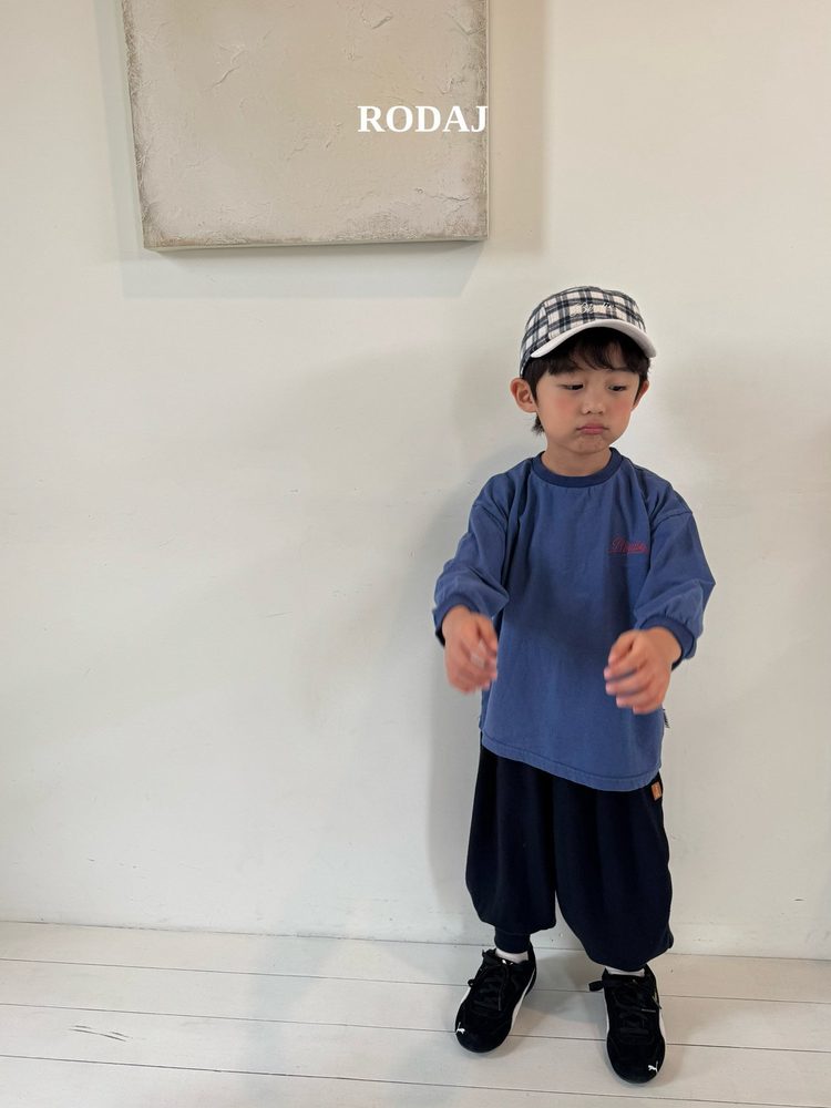 알라조거 19