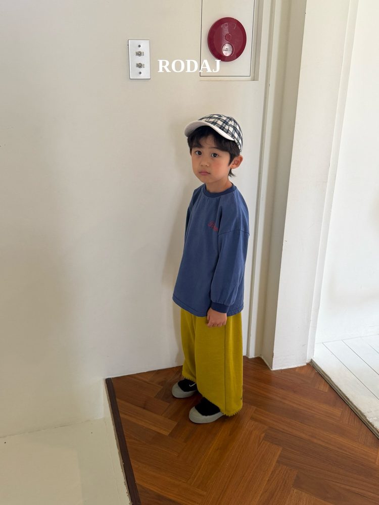 버디티 22