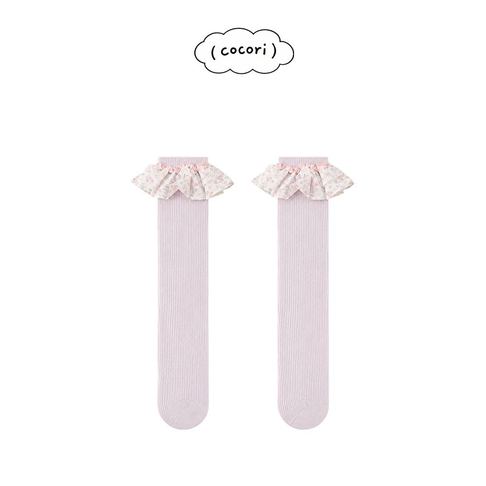 레이스니삭스 7