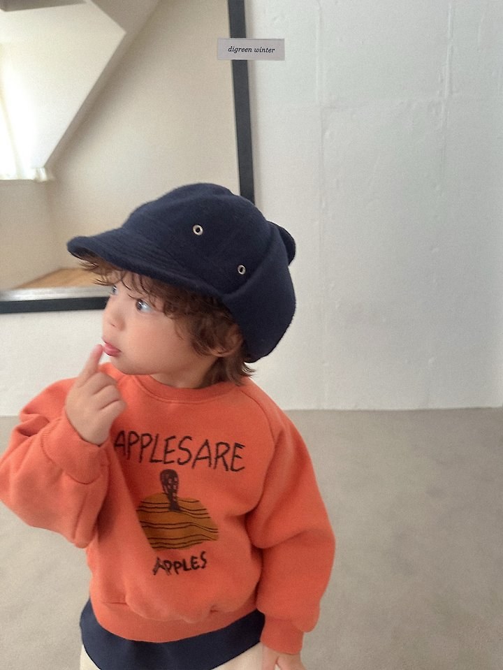 플랩캡 33