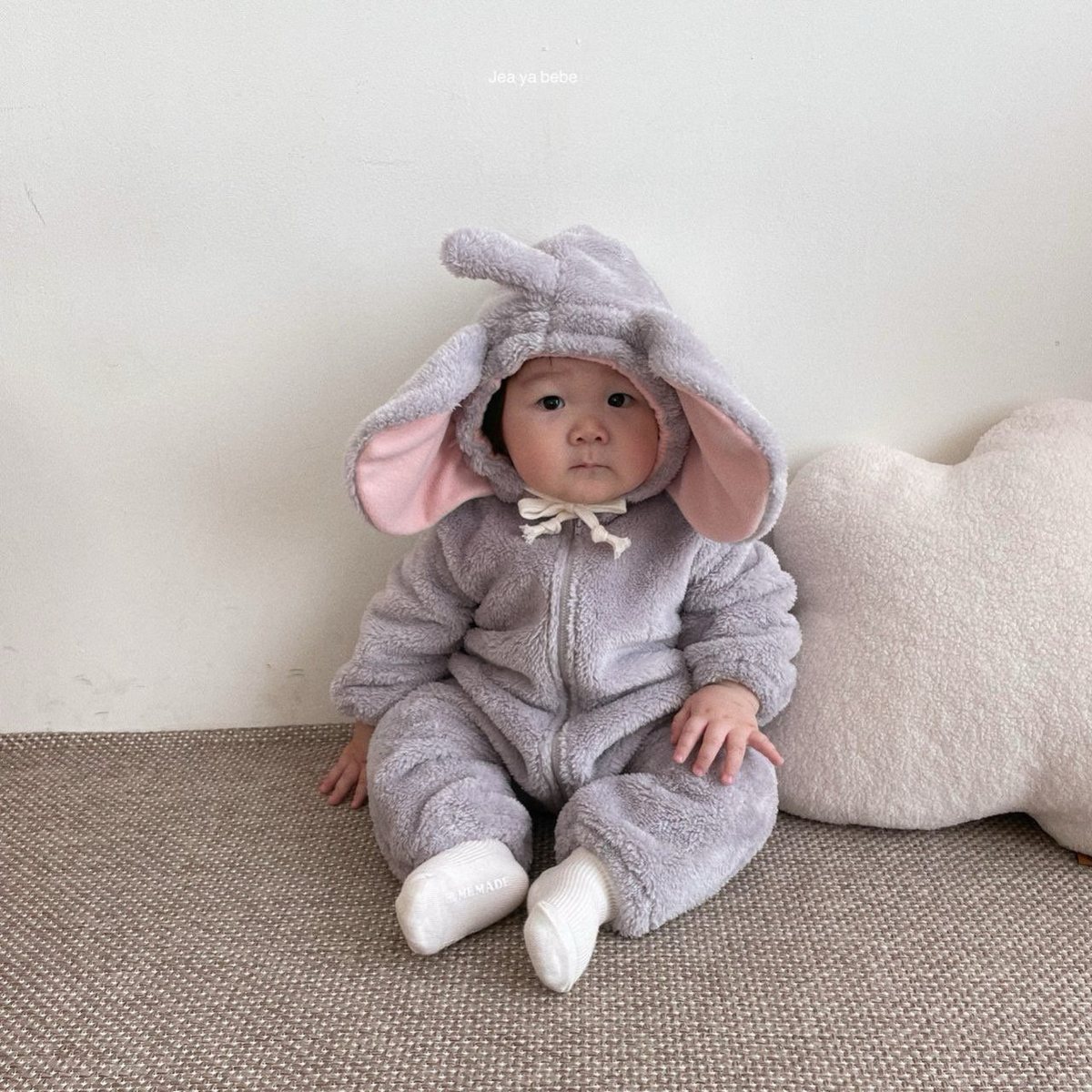 덤보슈트 19
