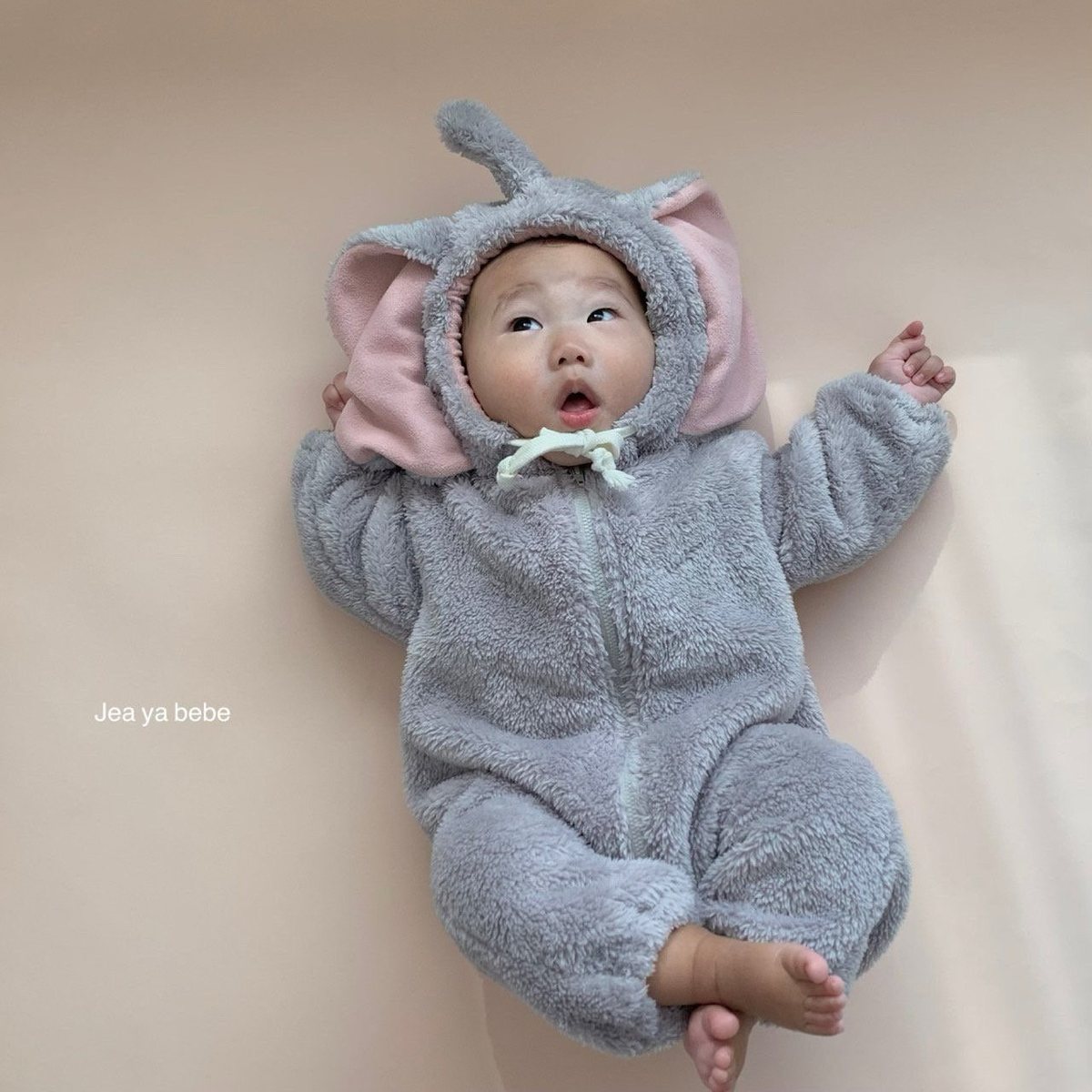 덤보슈트 23