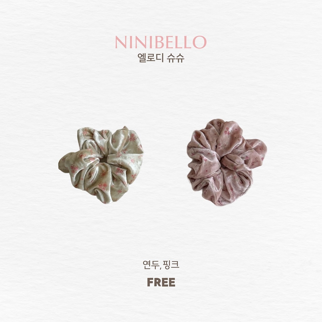 엘로디슈슈 11