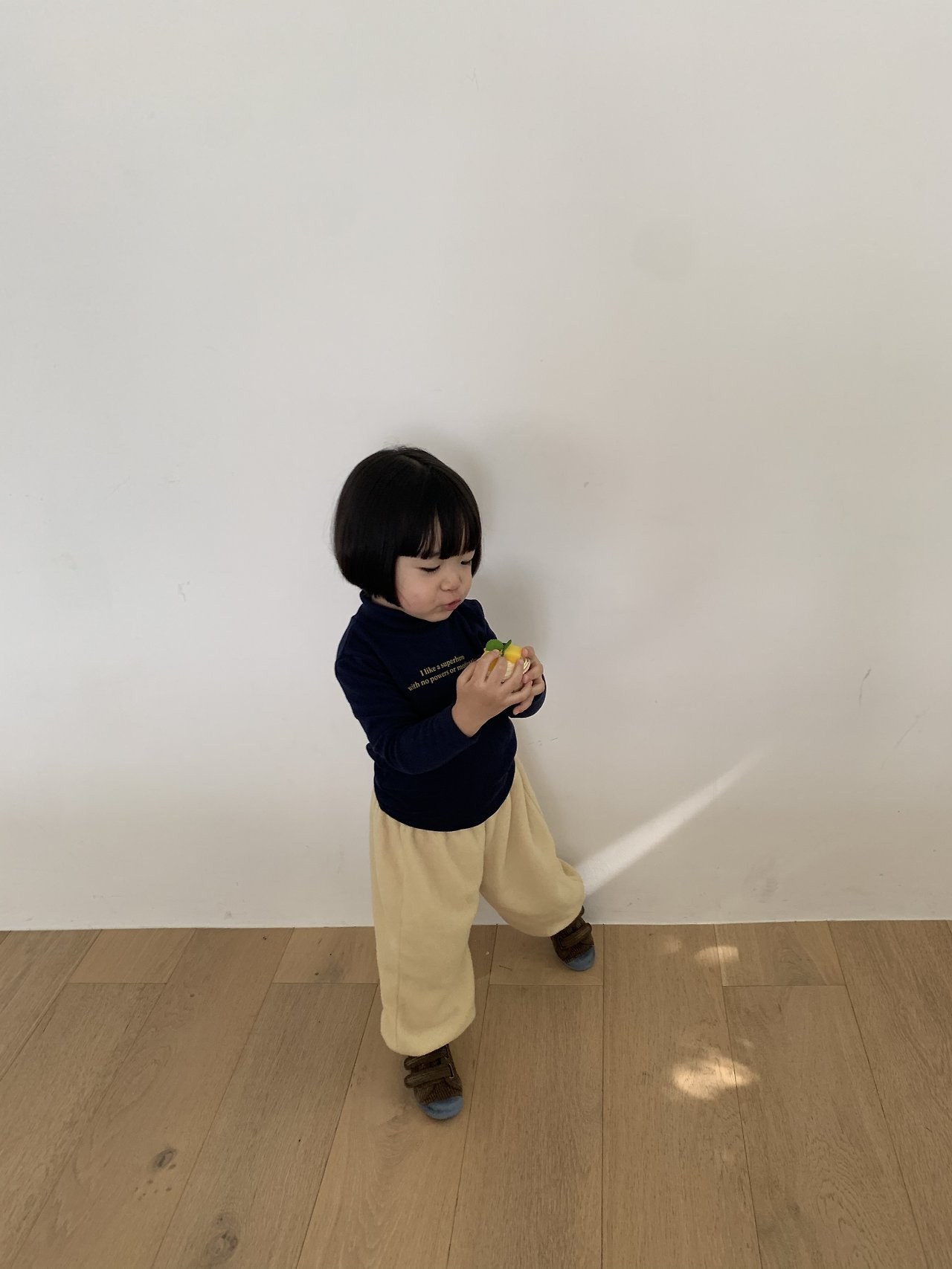 테리조거 8