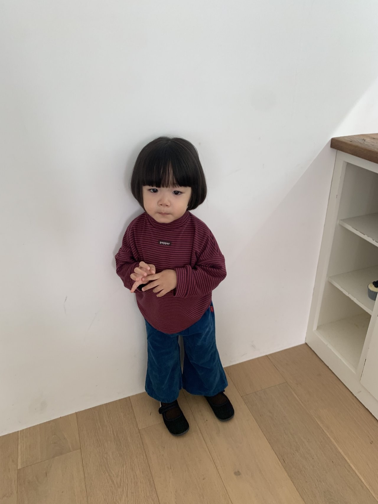 꿀벌단가라폴라 5