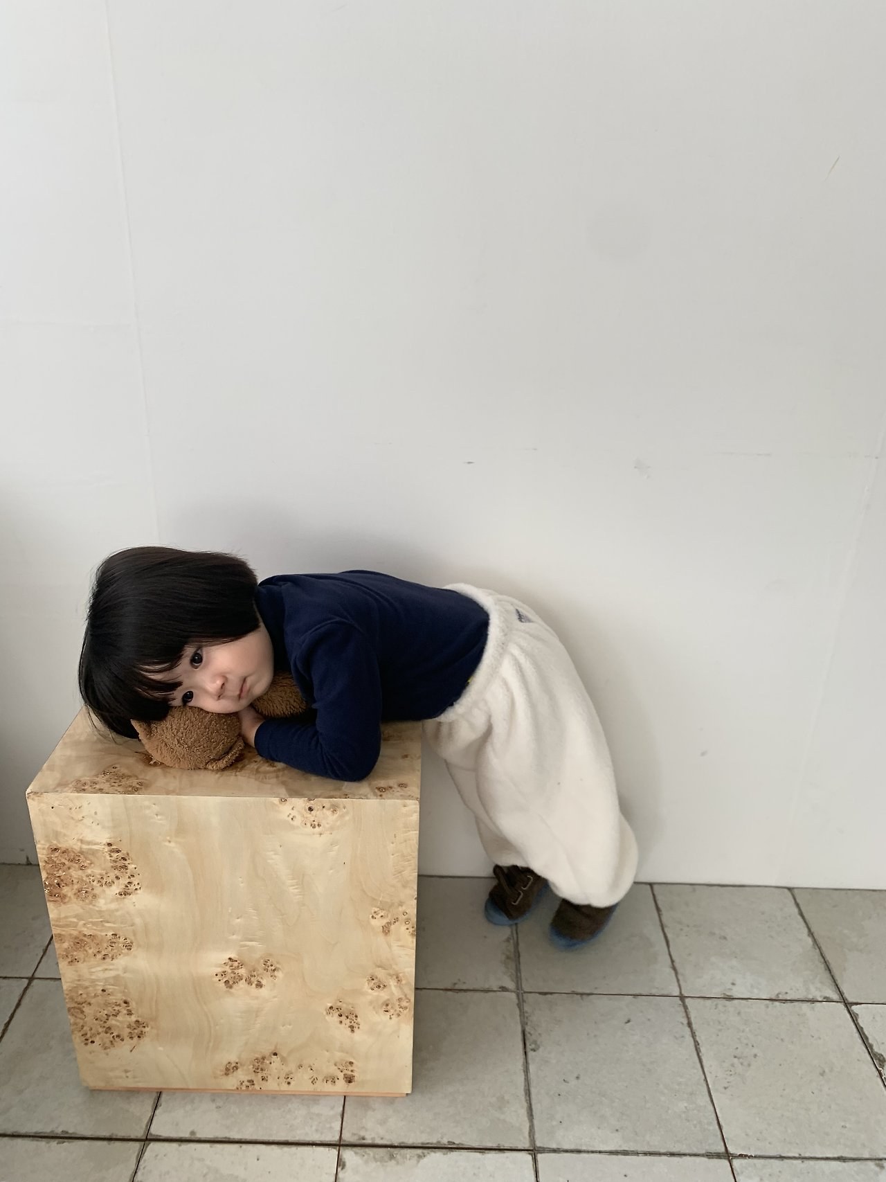 비숑조거 8